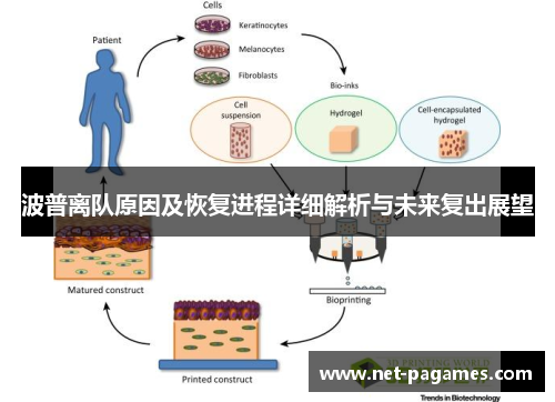 波普离队原因及恢复进程详细解析与未来复出展望