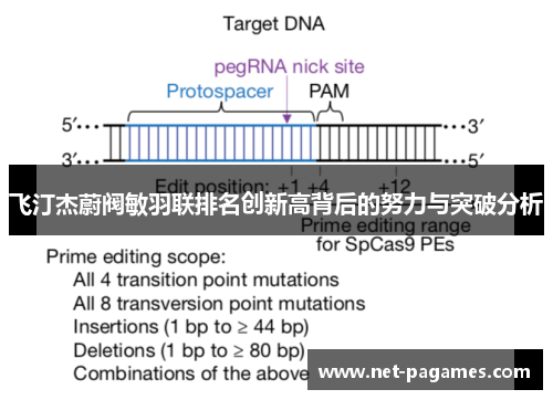 飞汀杰蔚阀敏羽联排名创新高背后的努力与突破分析
