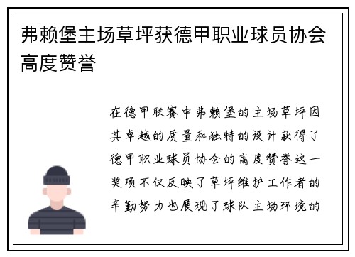 弗赖堡主场草坪获德甲职业球员协会高度赞誉